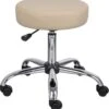 Boss Caressoft Medical Stool [B240-BG]