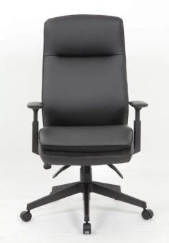 Boss Executive Chair In Black [B730-BK] -Office Chairs Unlimited Shop boss executive chair in black b730 bk 31686272843927