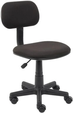 Economic Student Task Chair [B205]
