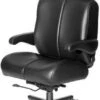 ERA Big Sur Heavy Duty Executive Chair [OF-BIGS] -Office Chairs Unlimited Shop era big sur heavy duty executive chair of bigs 29242038648983