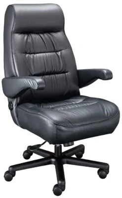 ERA Explorer Executive Office Chair [OF-EXPL]