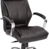 Office Star Pro-Line II™ Deluxe High Back Executive Chair [60310] -Office Chairs Unlimited Shop office star pro line ii deluxe high back executive chair 60310 13693377446028