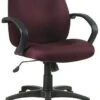 Work Smart Executive Mid Back Conference Room Chair [EX2651] -Office Chairs Unlimited Shop work smart executive mid back conference room chair ex2651 13691157315724